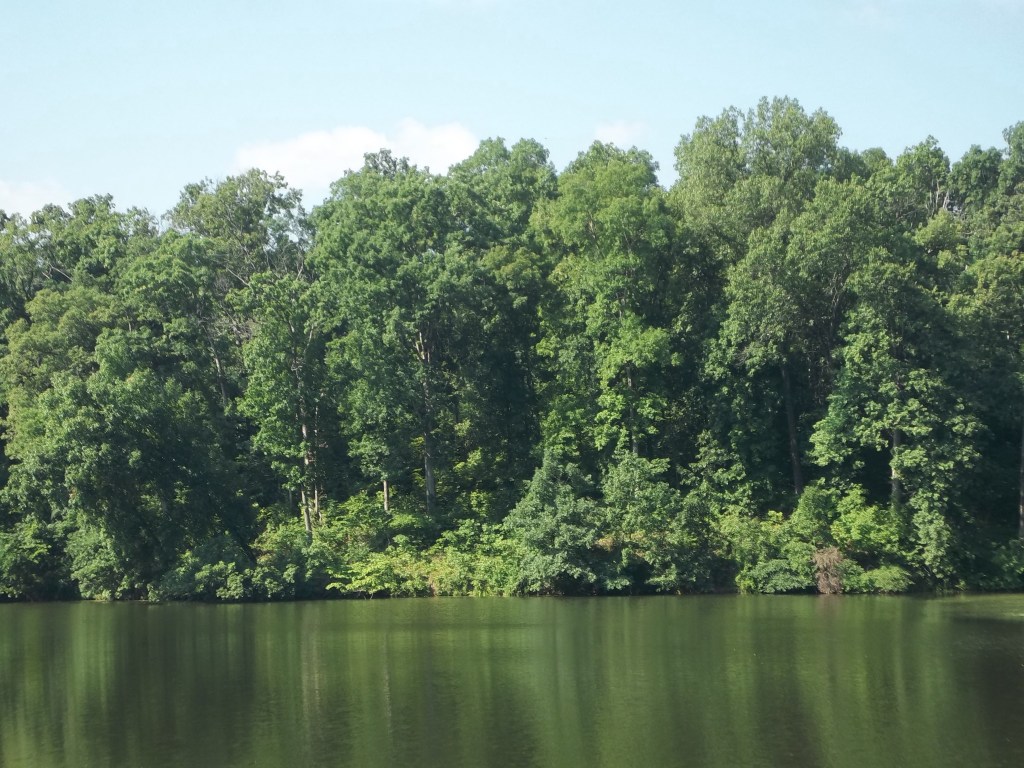 Oak Valley Fishing Lake