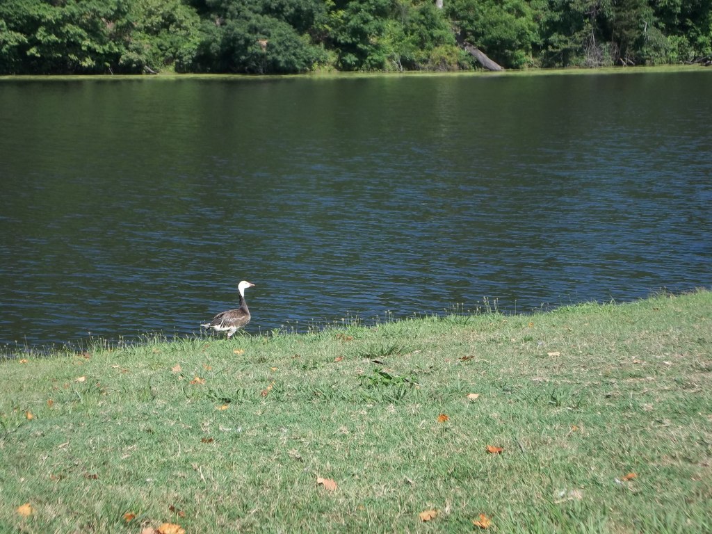 Oak Valley Wildlife