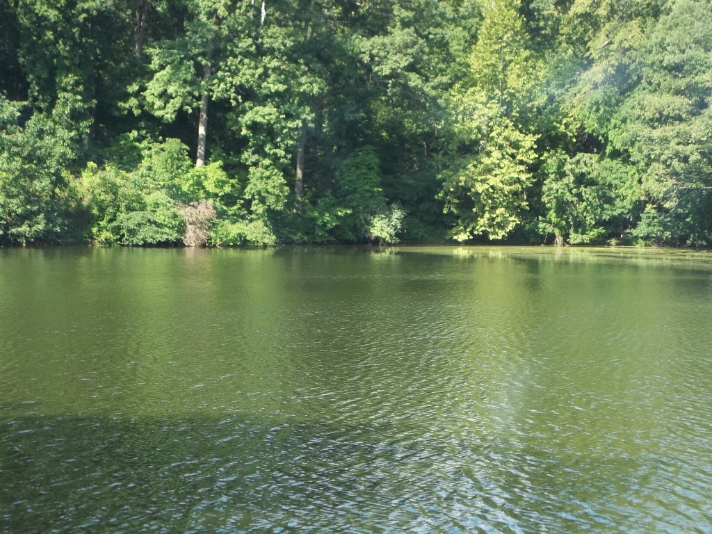 Oak Valley Fishing Lake