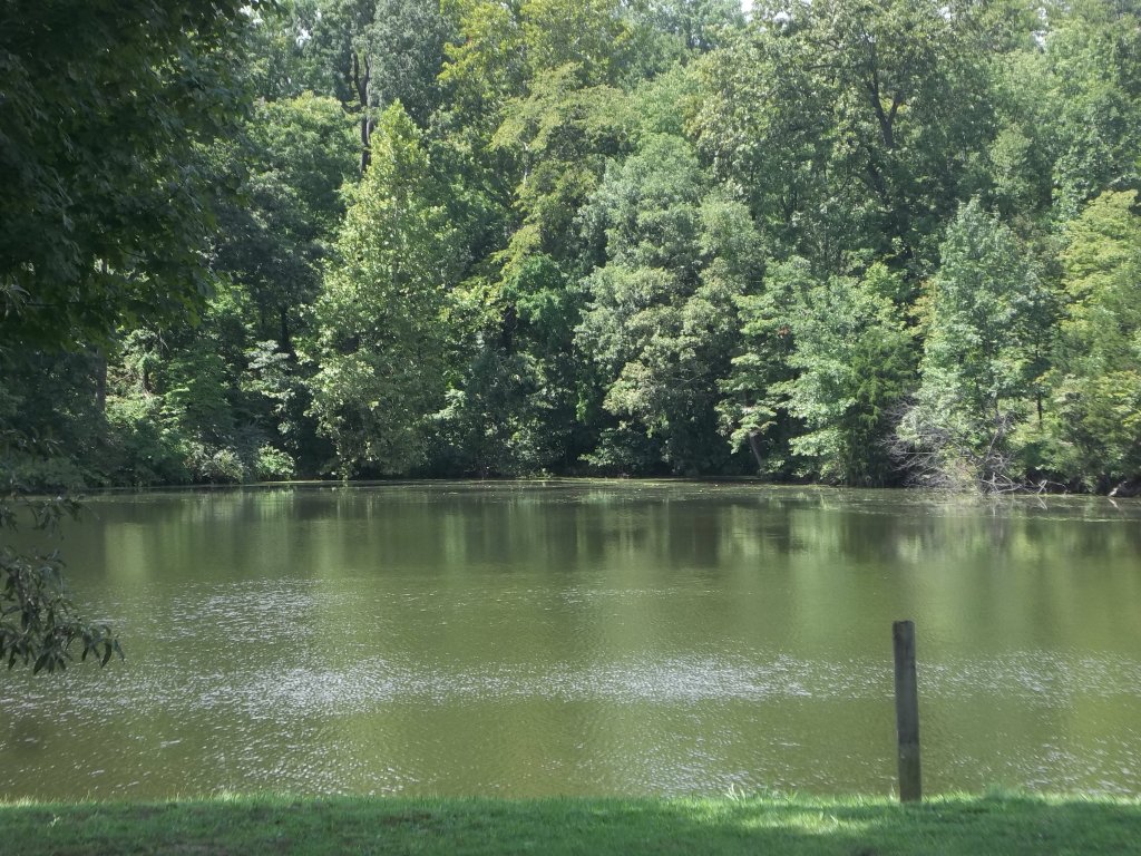 Oak Valley Golf and Resort Fishing Lake