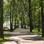 RV Park 